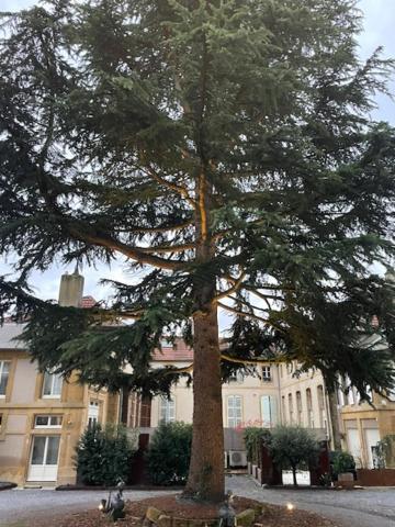 La Cour De La Tresorerie Мец Экстерьер фото